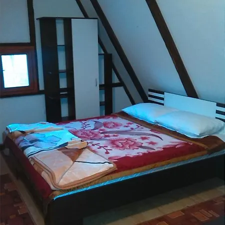 Apartment Dedina Kuca 1937 Mokra Gora